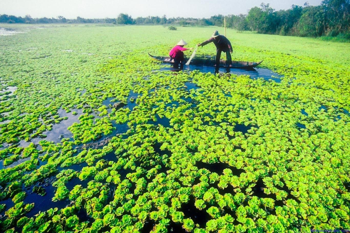 1. Giới thiệu điểm đến